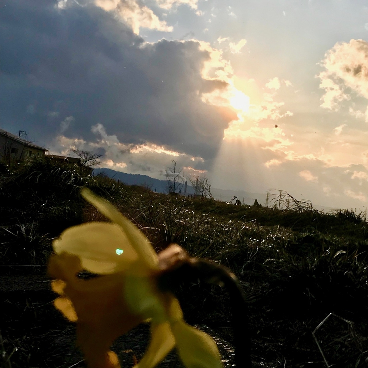 f:id:bochibochidou:20190328193752j:plain f:id:bochibochidou:20190328193752j:plain