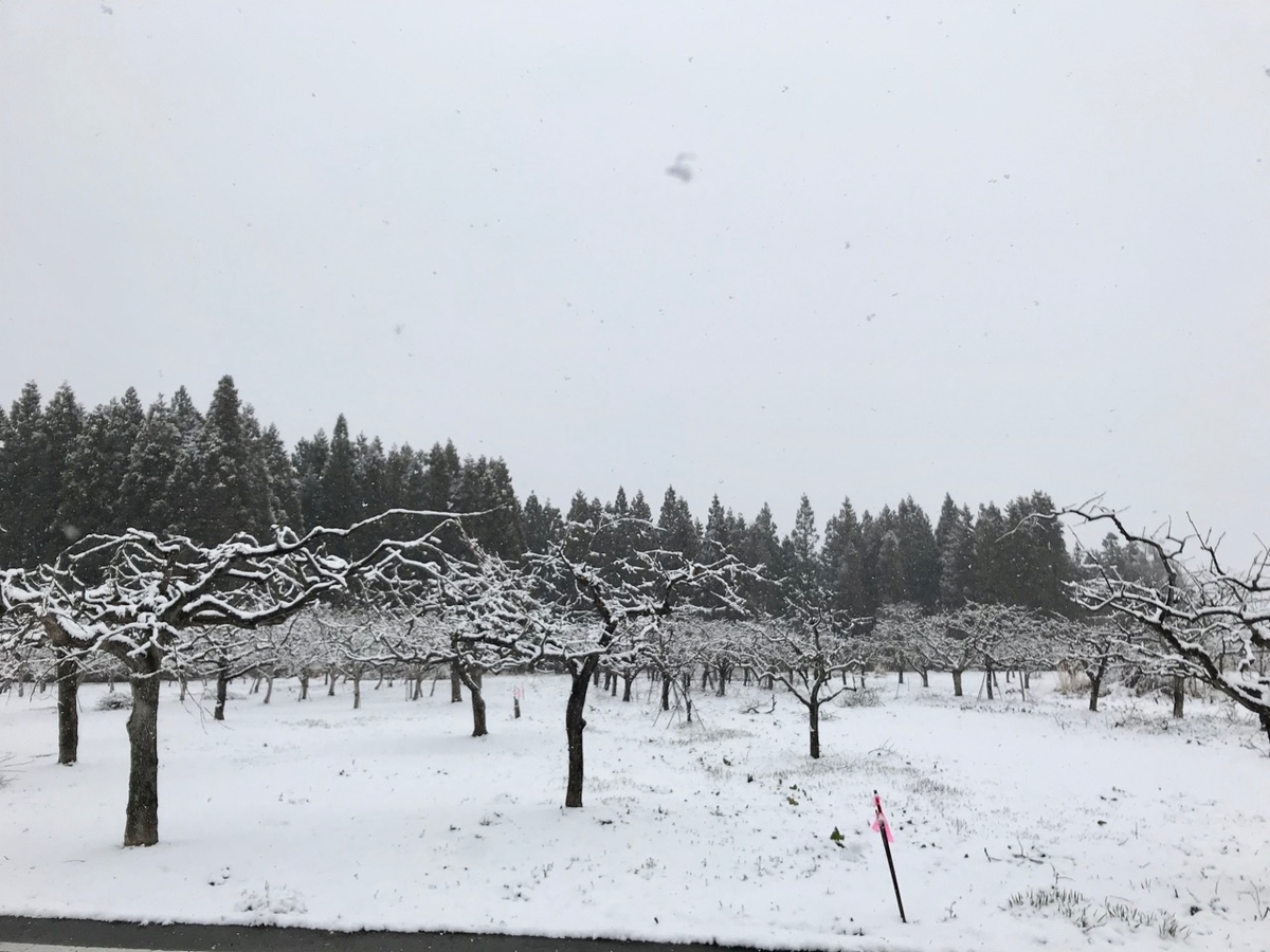 f:id:bochibochidou:20190402200927j:plain