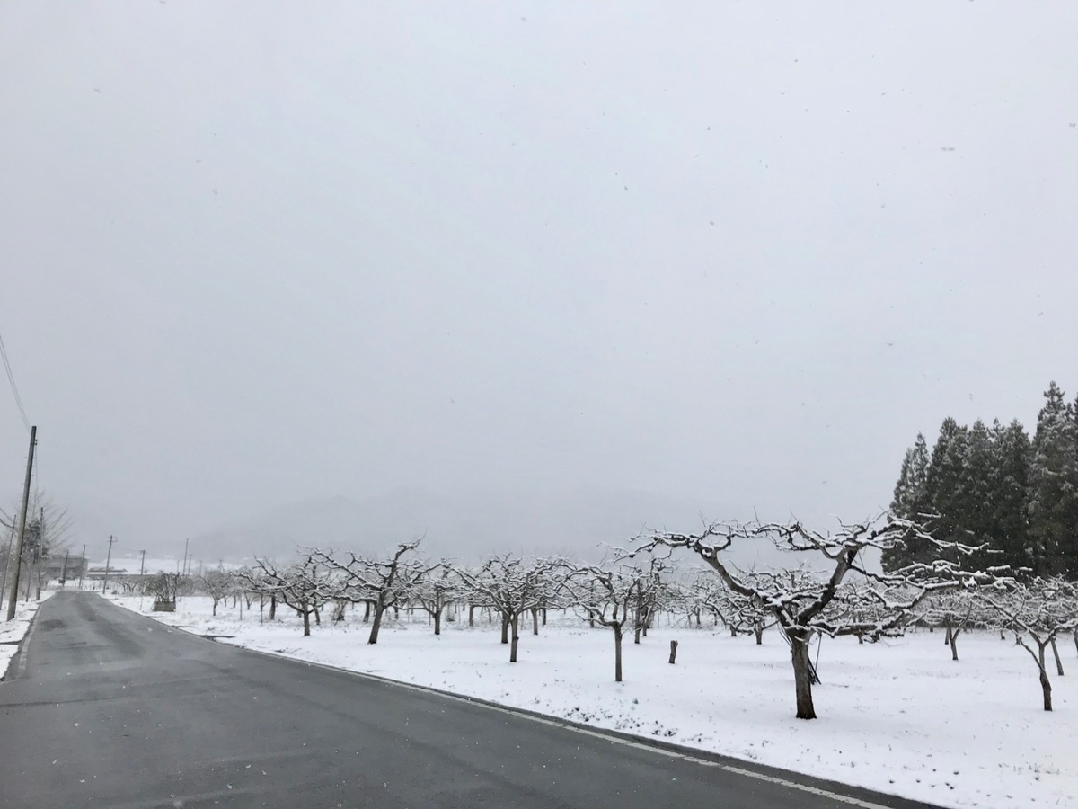 f:id:bochibochidou:20190402200934j:plain