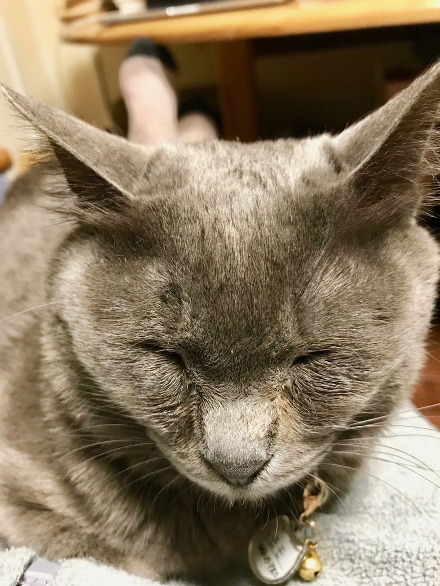 f:id:bochibochidou:20190402201501j:plain