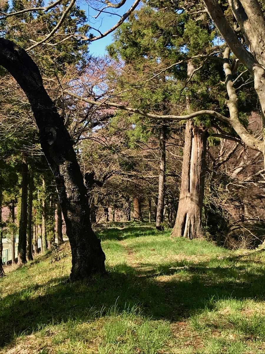 f:id:bochibochidou:20190417200705j:plain