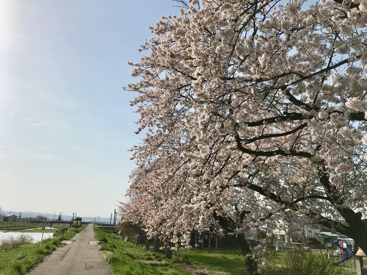 f:id:bochibochidou:20190423202055j:plain