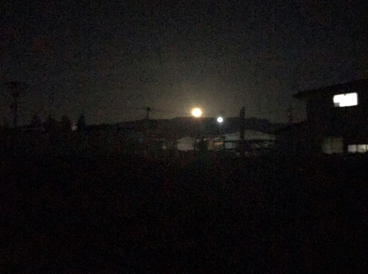 f:id:bochibochidou:20190423202101j:plain