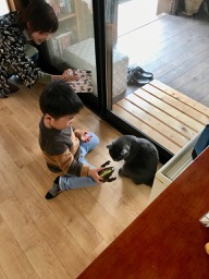 f:id:bochibochidou:20190427201824j:plain