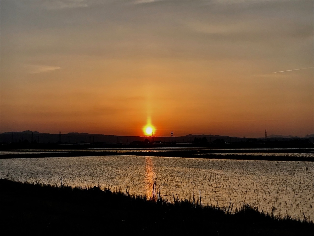 f:id:bochibochidou:20190516203253j:plain
