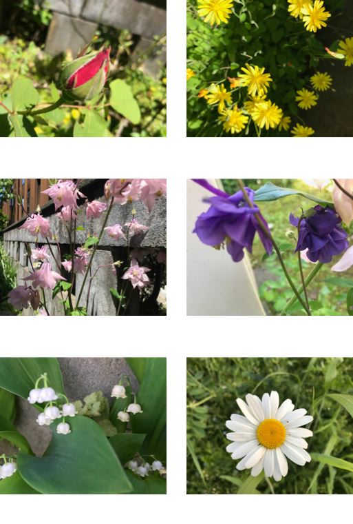 f:id:bochibochidou:20190524202434j:plain