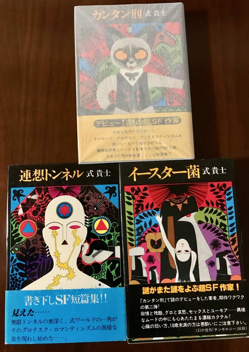 f:id:bochibochidou:20190524203124j:plain