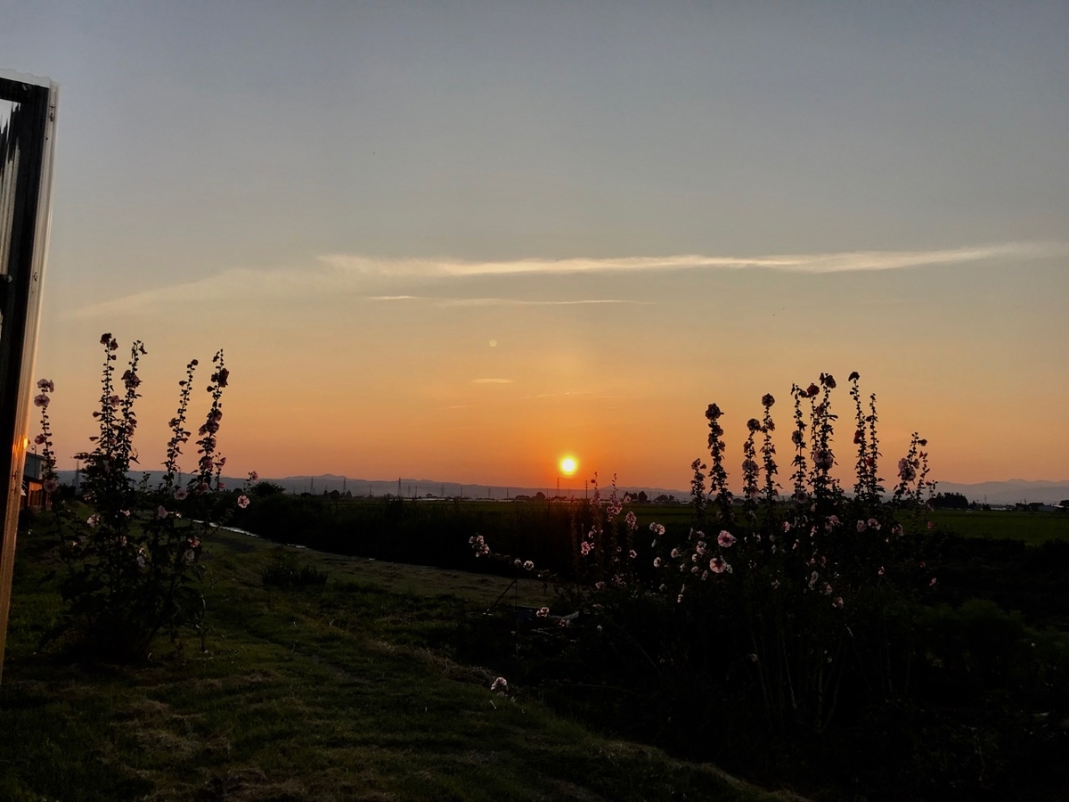 f:id:bochibochidou:20190718201127j:plain