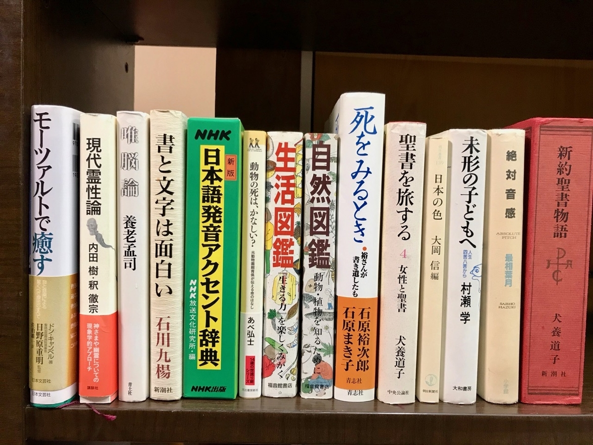 f:id:bochibochidou:20190725210219j:plain