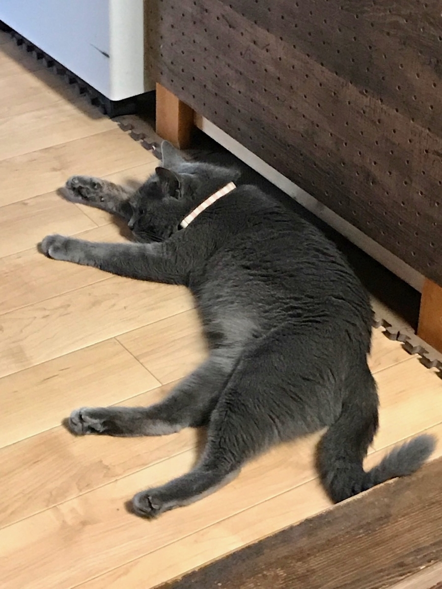 f:id:bochibochidou:20190731200248j:plain