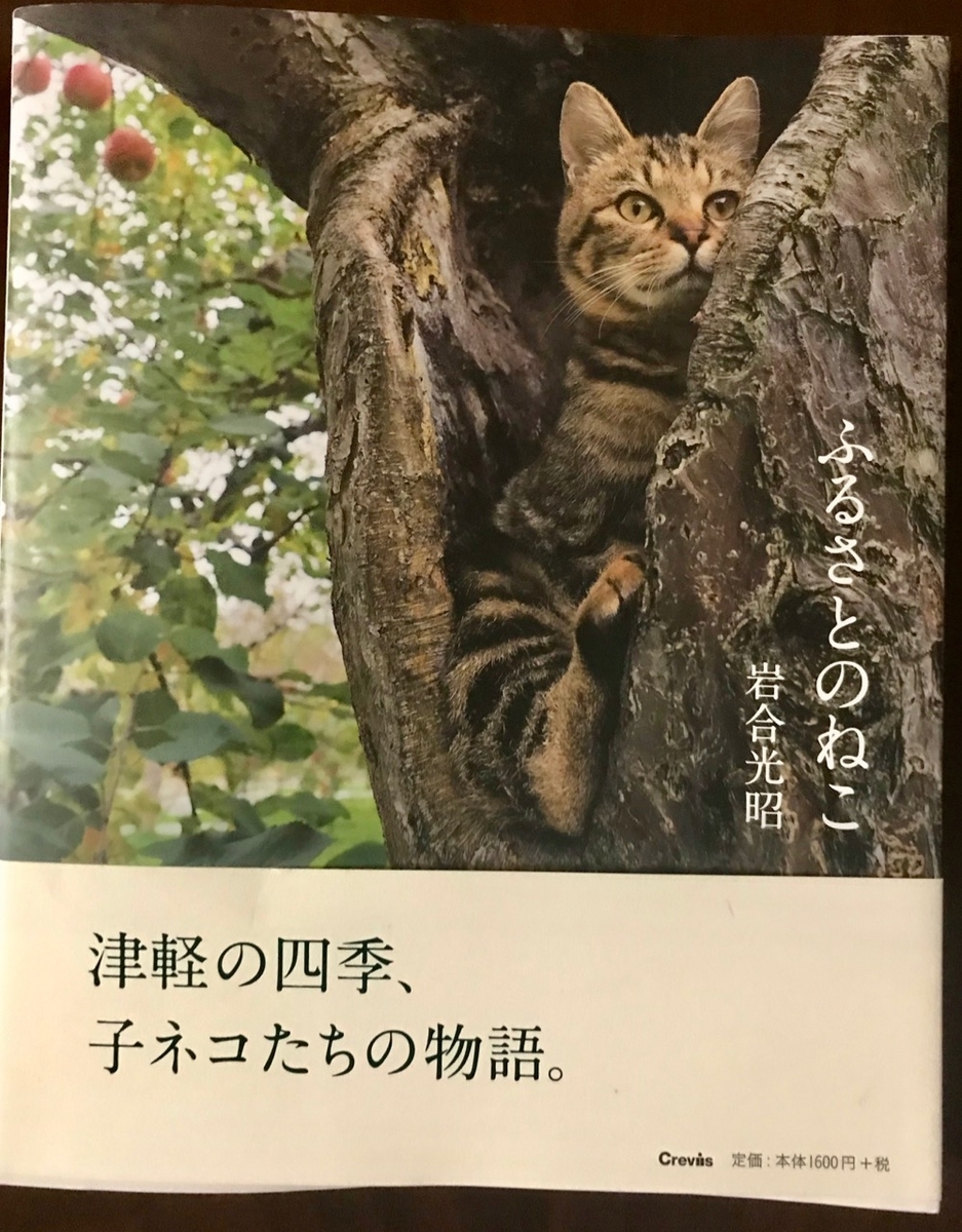 f:id:bochibochidou:20190802200934j:plain