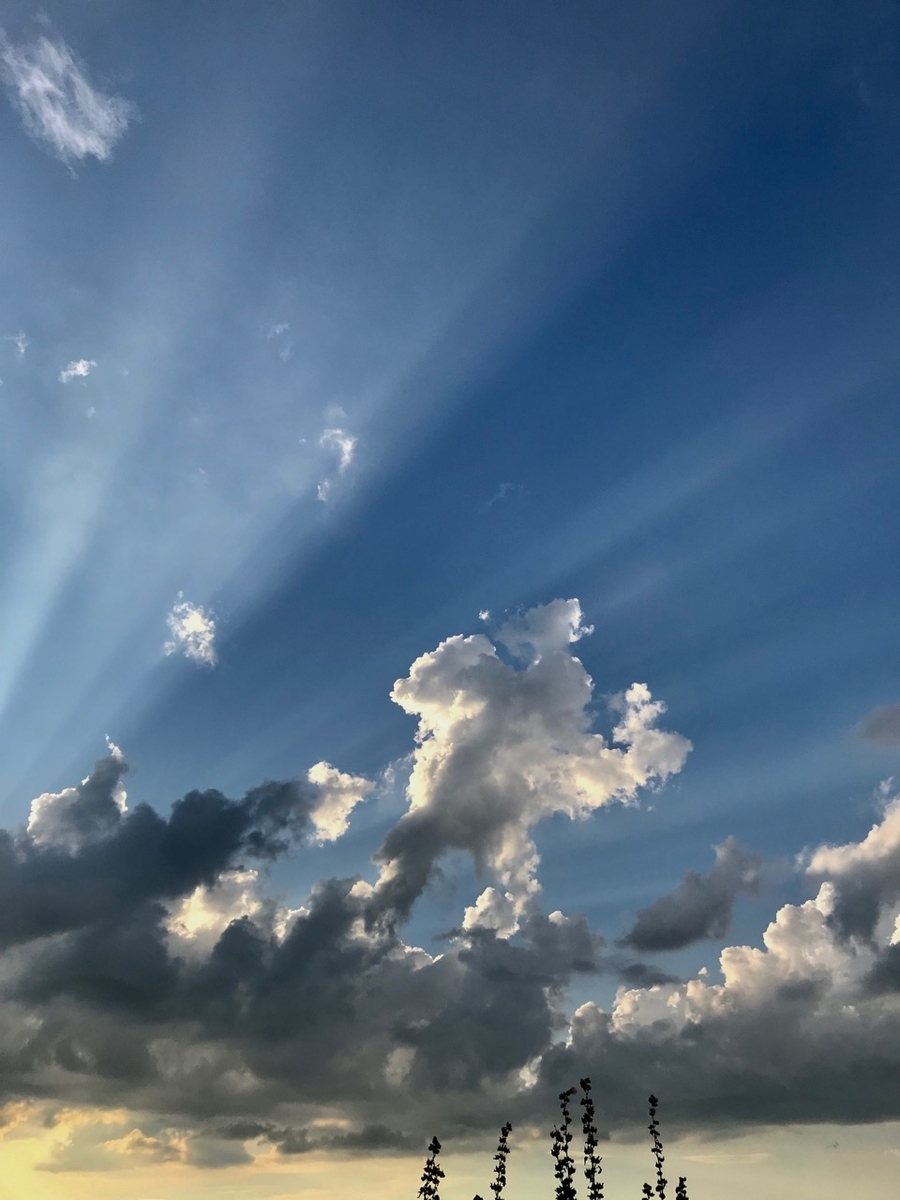 f:id:bochibochidou:20190808203544j:plain