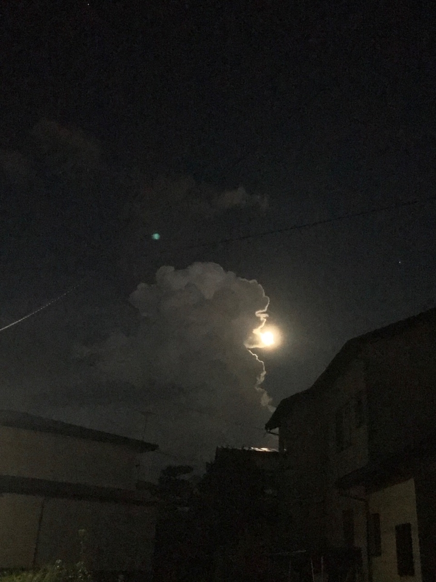f:id:bochibochidou:20190814194832j:plain