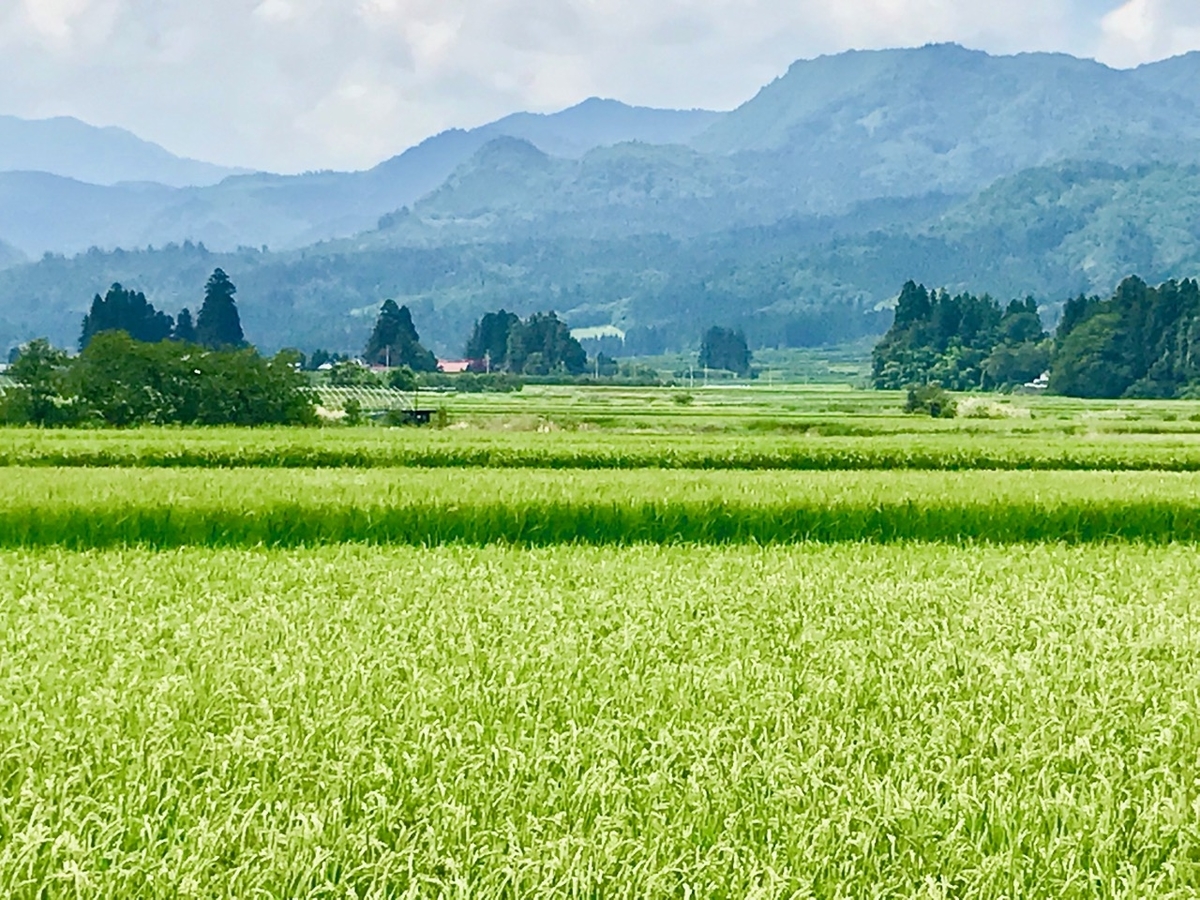 f:id:bochibochidou:20190821195739j:plain