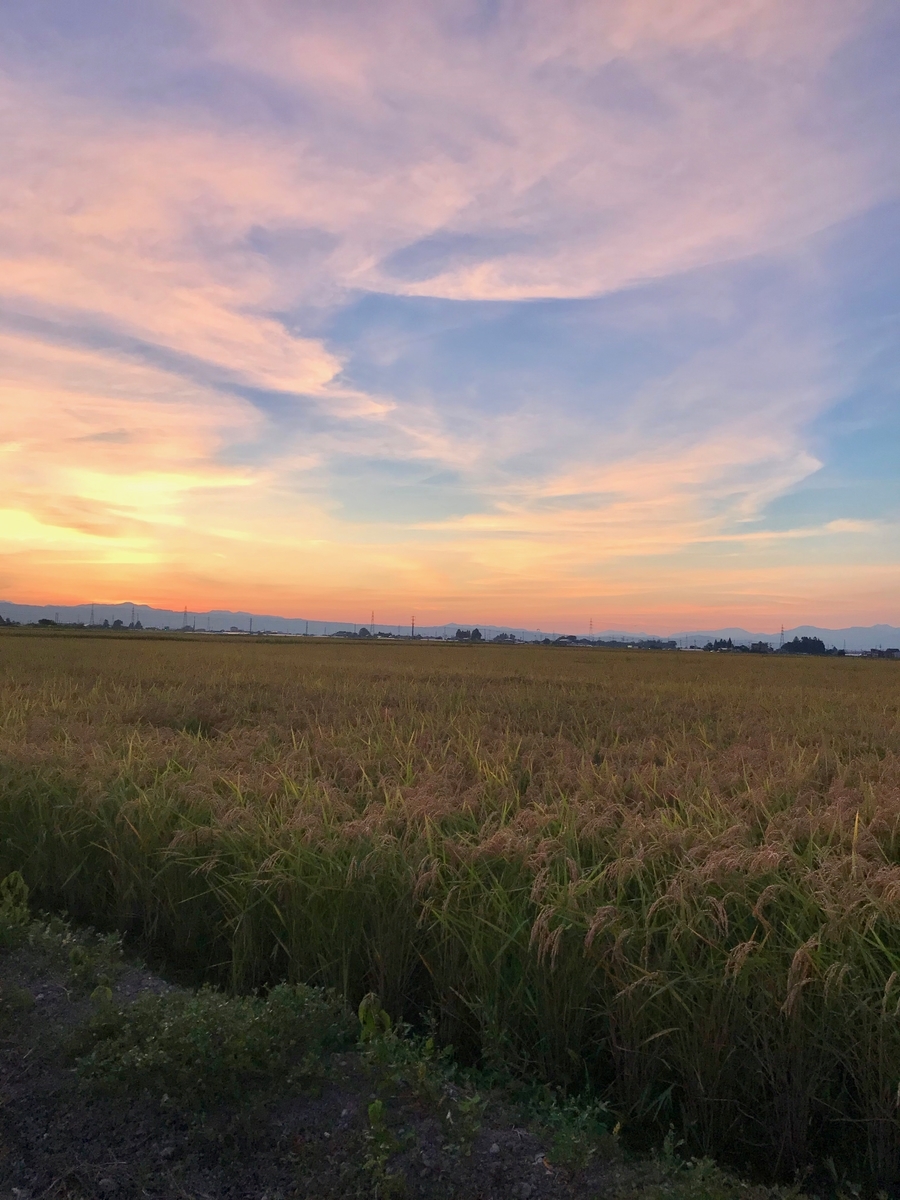 f:id:bochibochidou:20190907200838j:plain