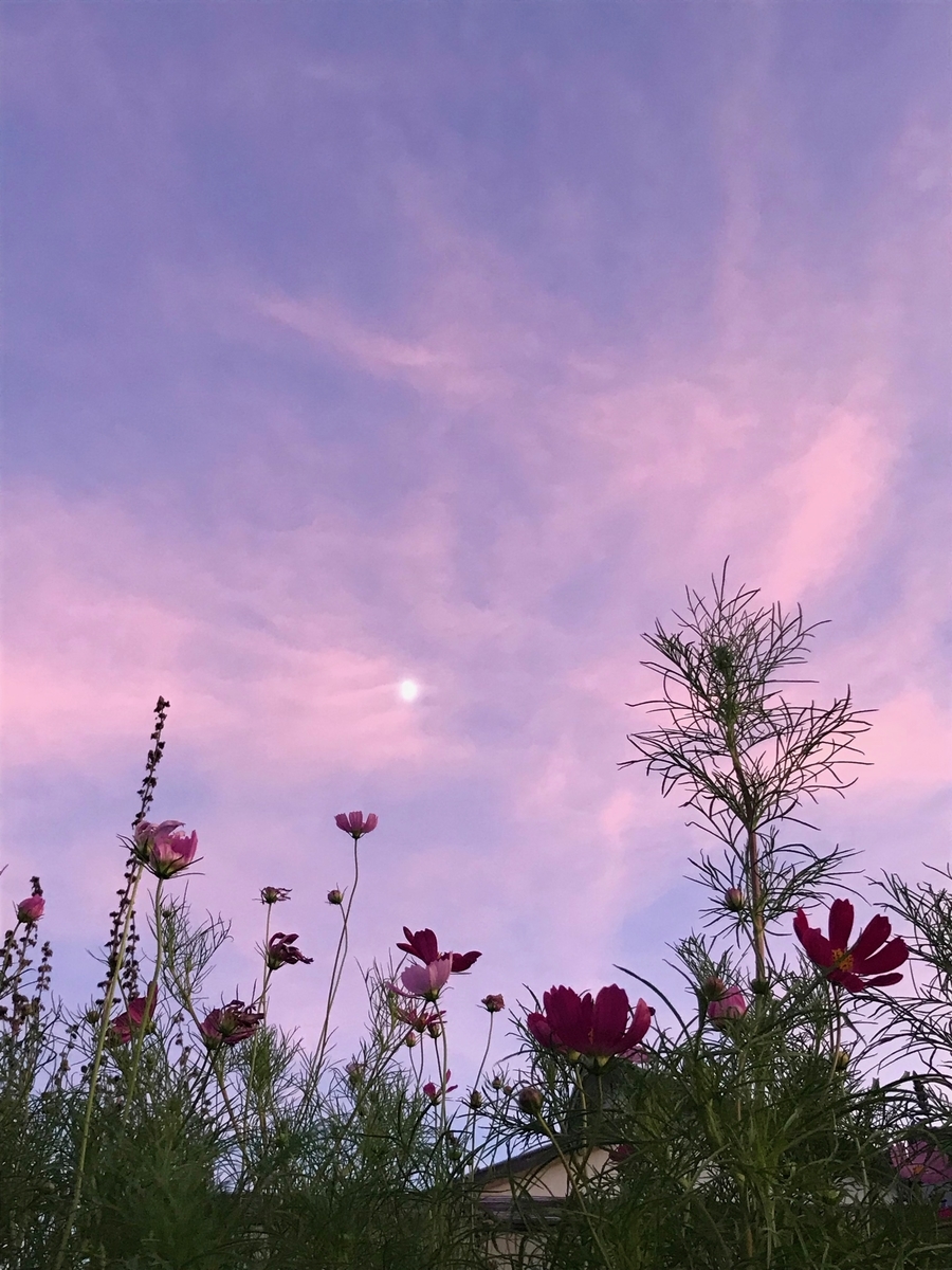 f:id:bochibochidou:20190907200943j:plain