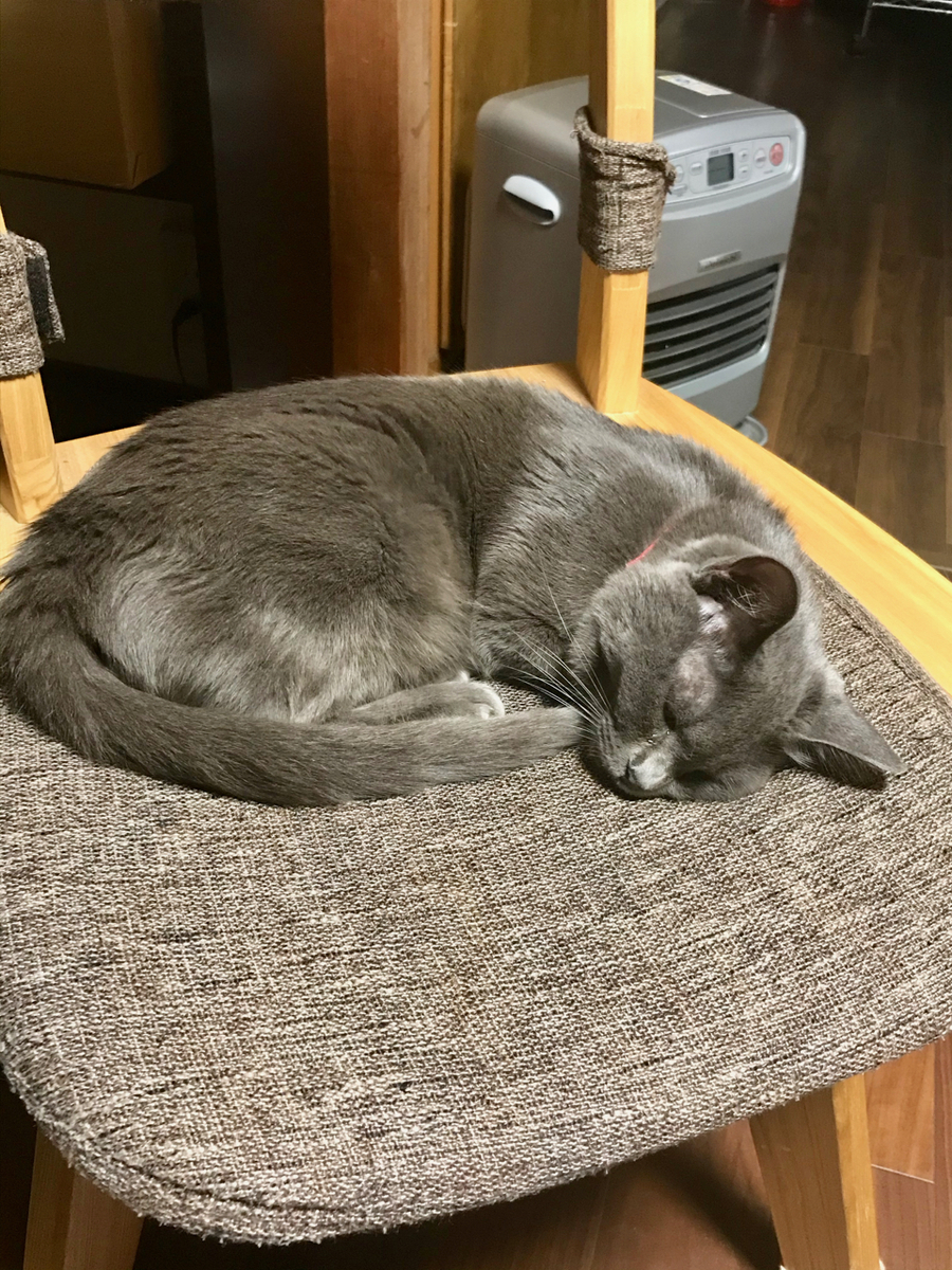 f:id:bochibochidou:20191025210106j:plain
