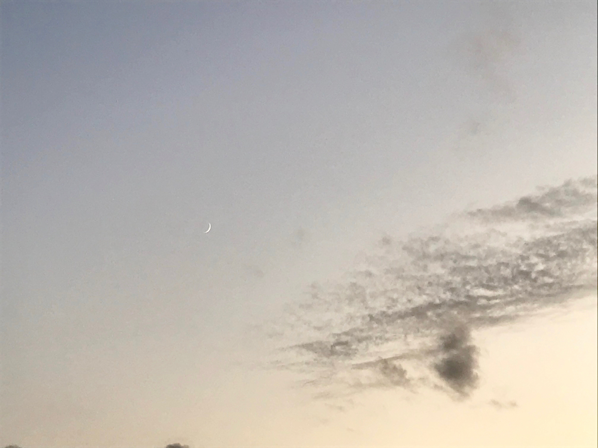f:id:bochibochidou:20191107203252j:plain