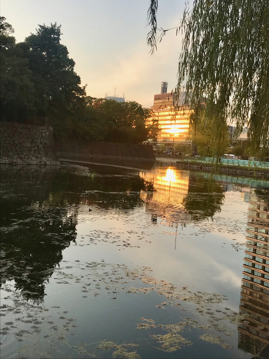 f:id:bochibochidou:20191112200404j:plain f:id:bochibochidou:20191112200404j:plain