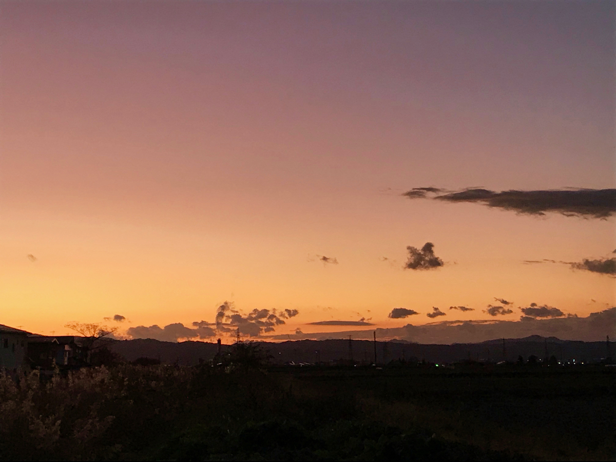 f:id:bochibochidou:20191116194254j:plain f:id:bochibochidou:20191116194254j:plain