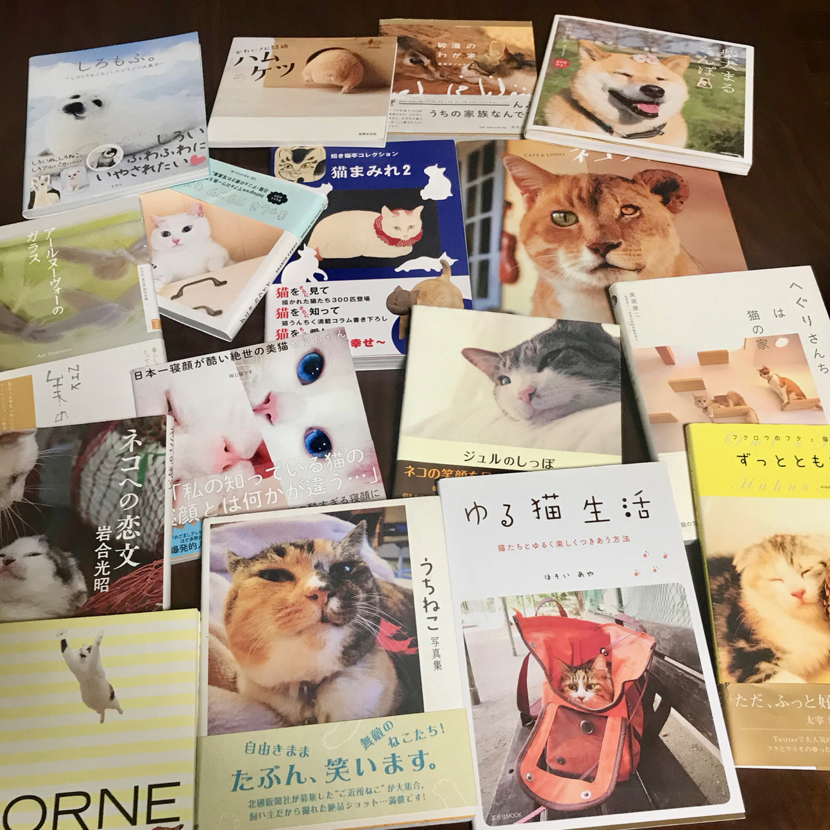 f:id:bochibochidou:20191121201428j:plain