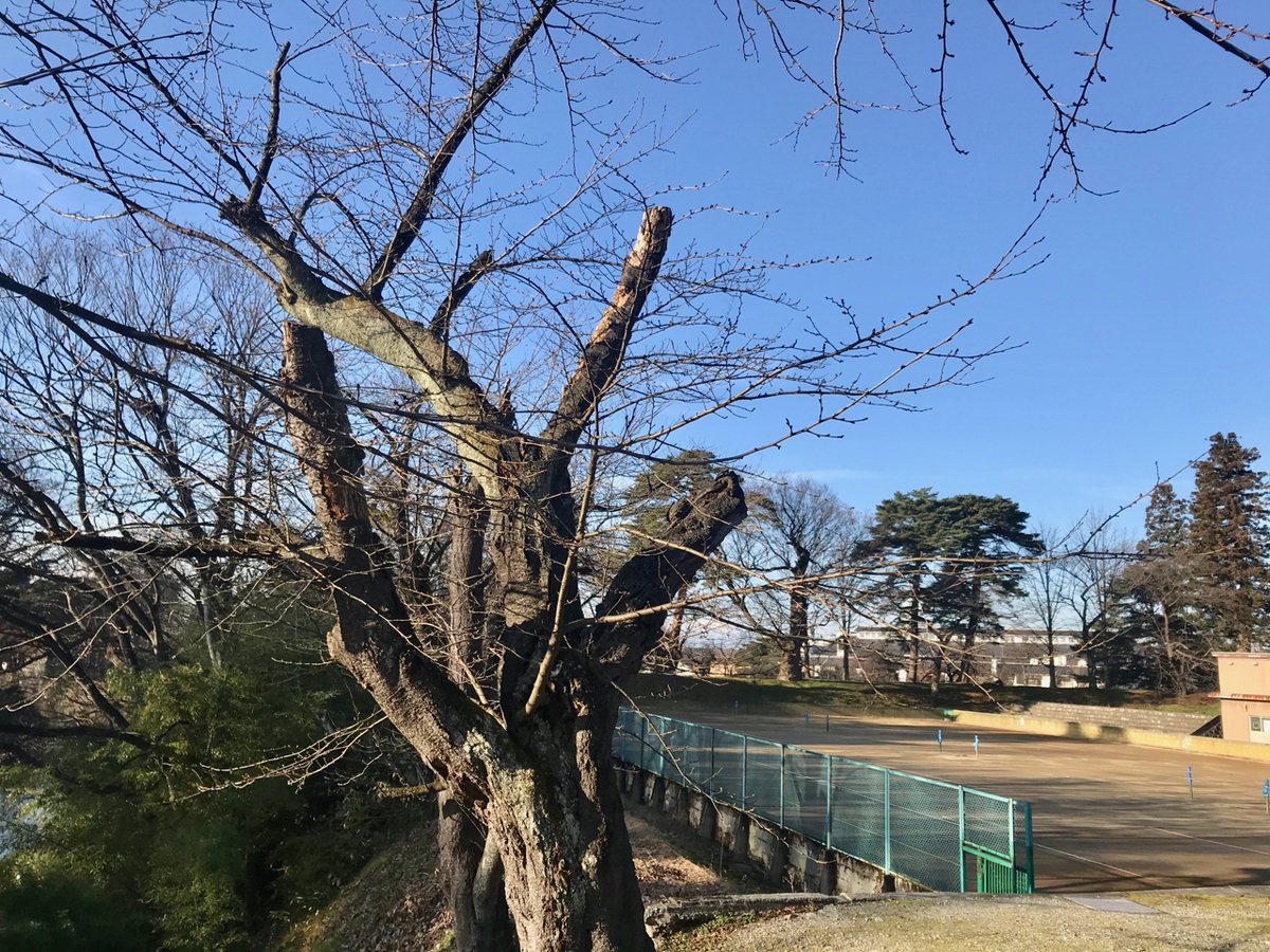 f:id:bochibochidou:20191214201207j:plain f:id:bochibochidou:20191214201207j:plain