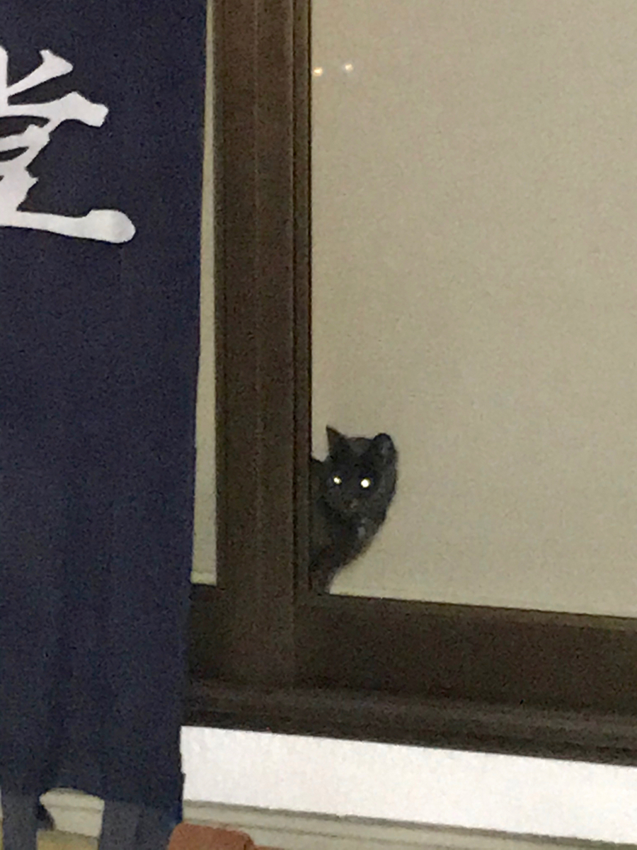 f:id:bochibochidou:20191214201951j:plain f:id:bochibochidou:20191214201951j:plain