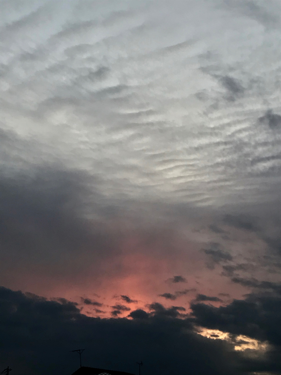 f:id:bochibochidou:20191220201355j:plain