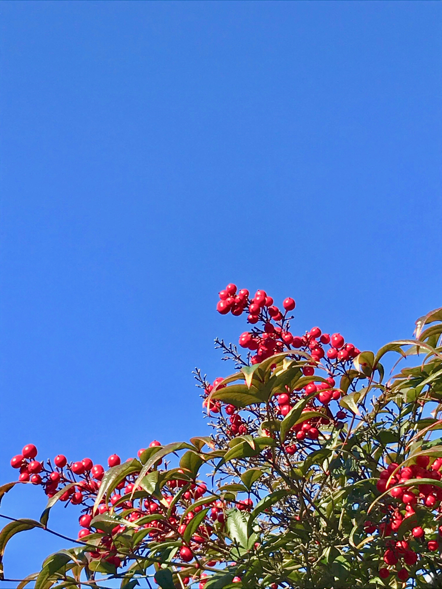 f:id:bochibochidou:20191225194031j:plain