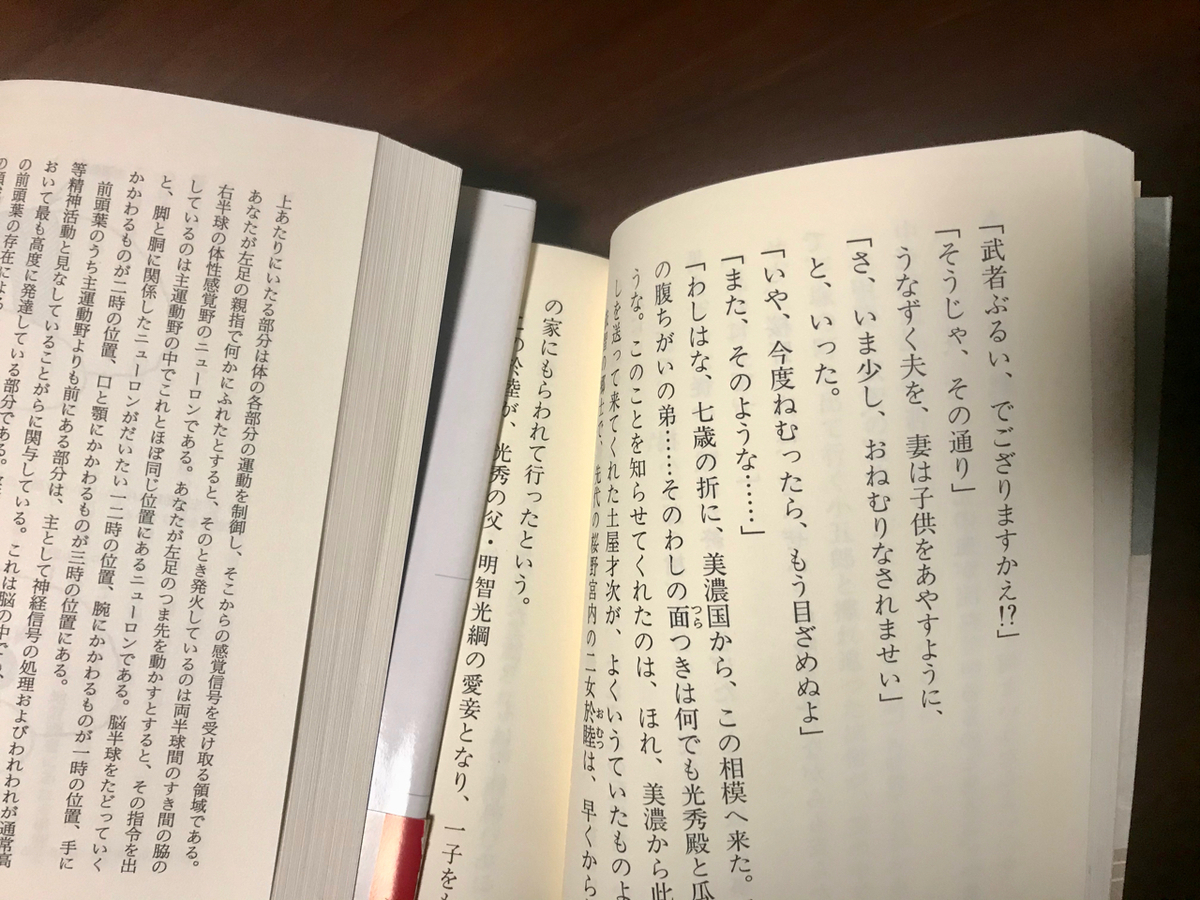 f:id:bochibochidou:20191225194846j:plain