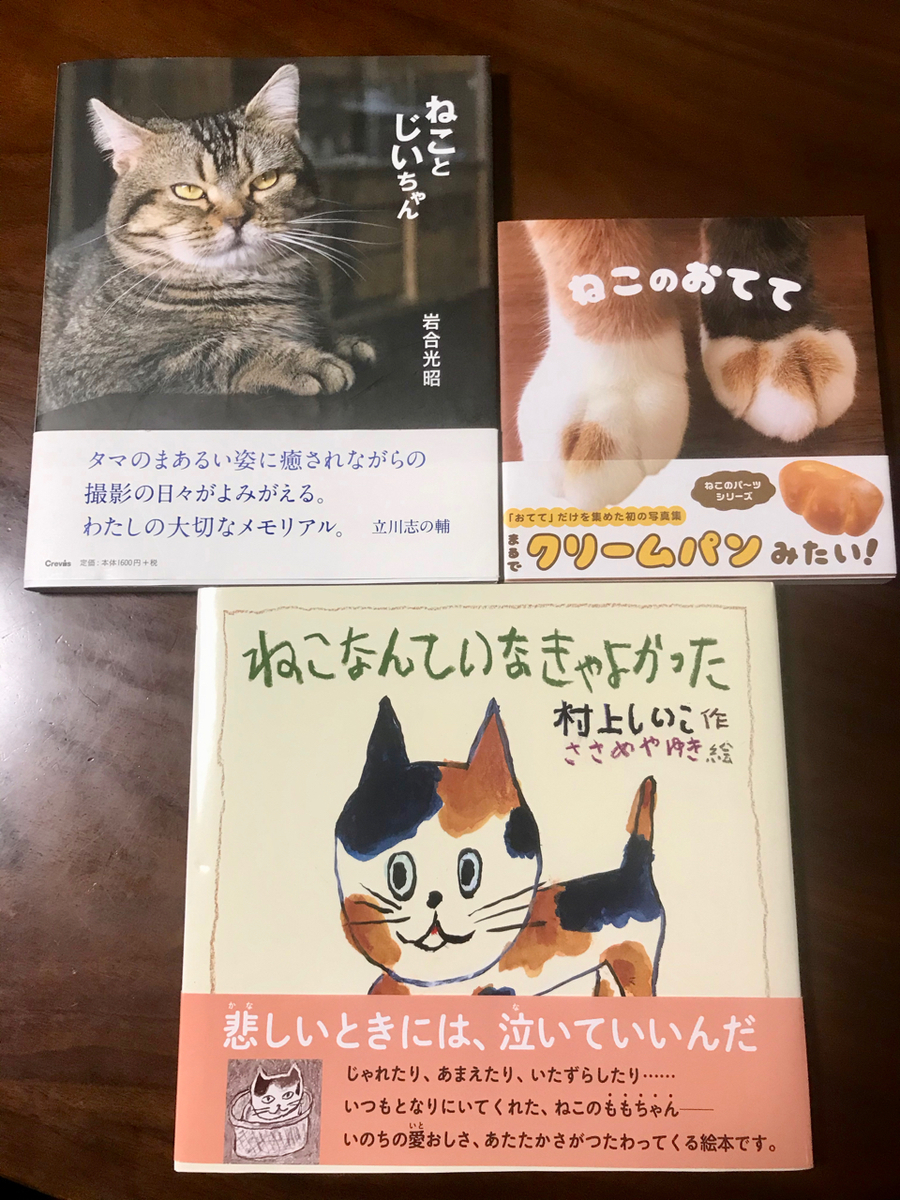 f:id:bochibochidou:20200221203931j:plain