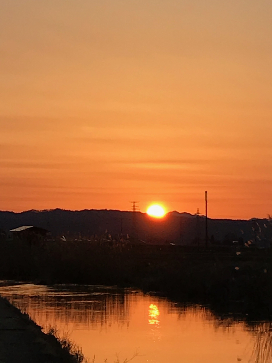 f:id:bochibochidou:20200327203111j:plain f:id:bochibochidou:20200327203111j:plain