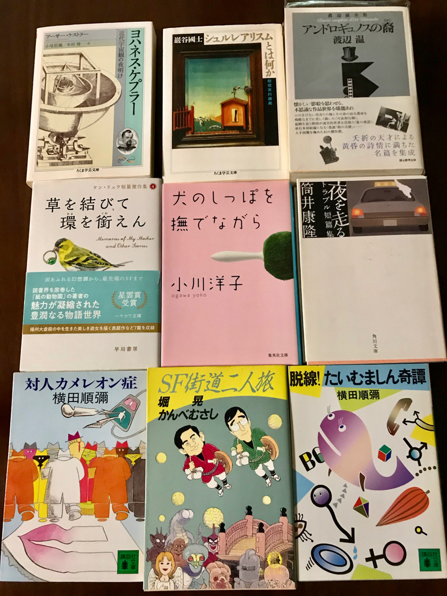 f:id:bochibochidou:20200404203542j:plain f:id:bochibochidou:20200404203542j:plain
