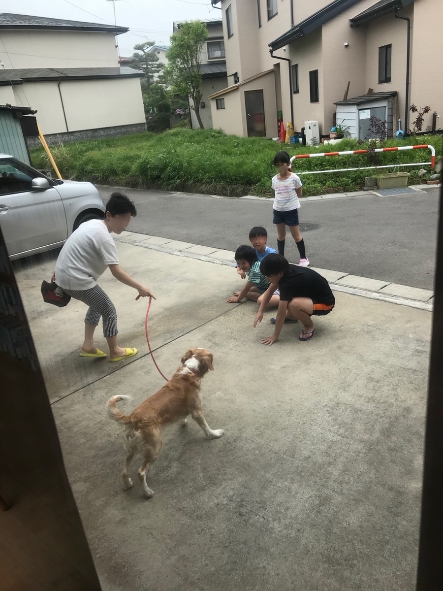 f:id:bochibochidou:20200515201548j:plain f:id:bochibochidou:20200515201548j:plain