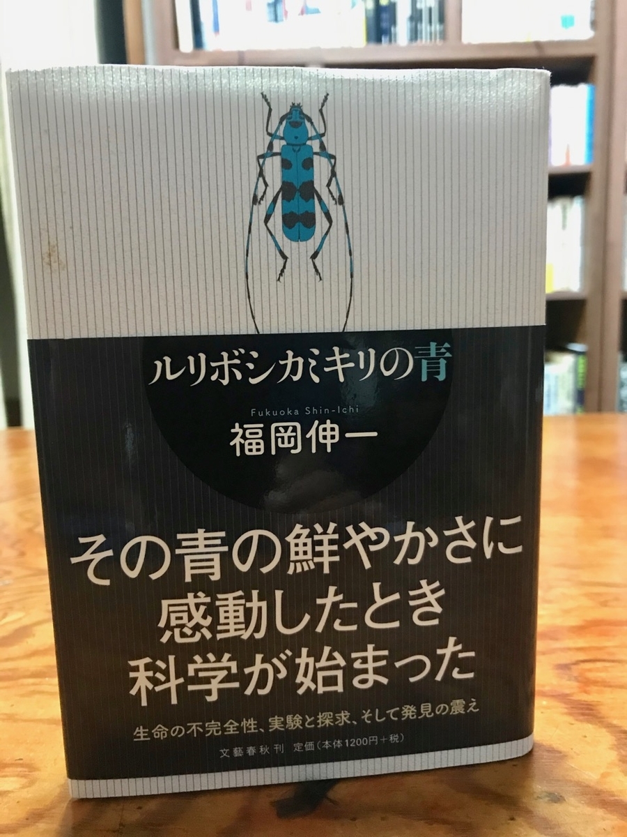 f:id:bochibochidou:20200520202424j:plain