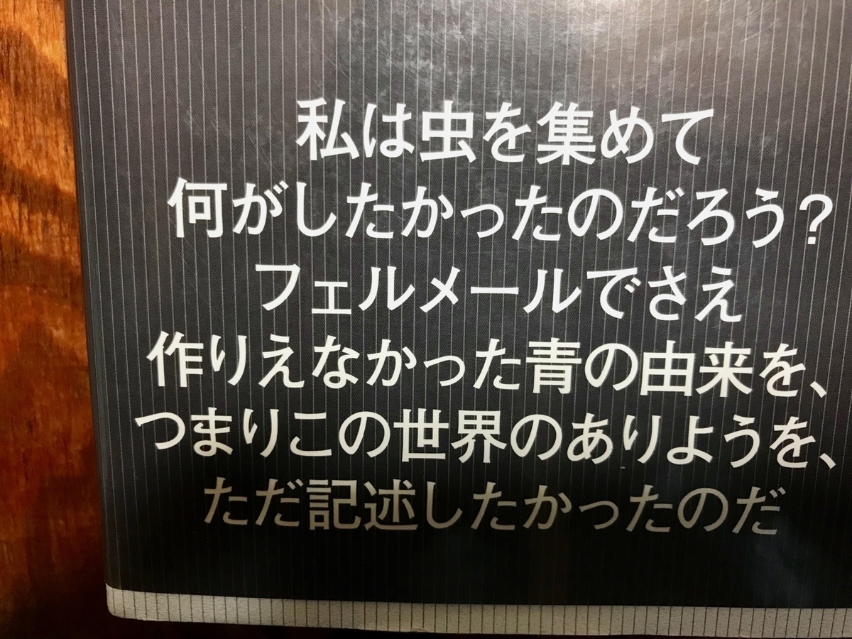 f:id:bochibochidou:20200520202757j:plain