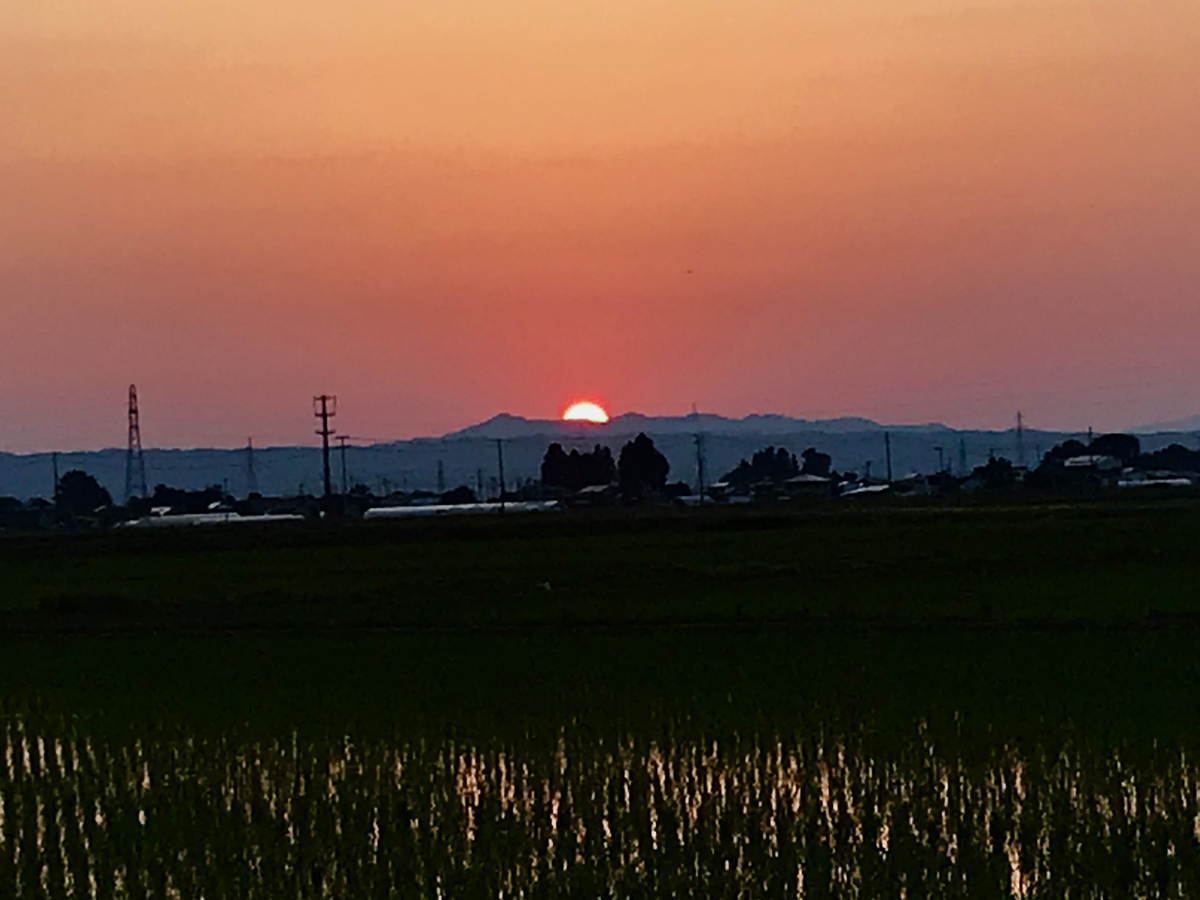 f:id:bochibochidou:20200609204131p:plain