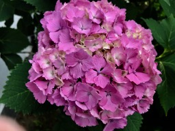 f:id:bochibochidou:20200625200222j:plain f:id:bochibochidou:20200625200222j:plain