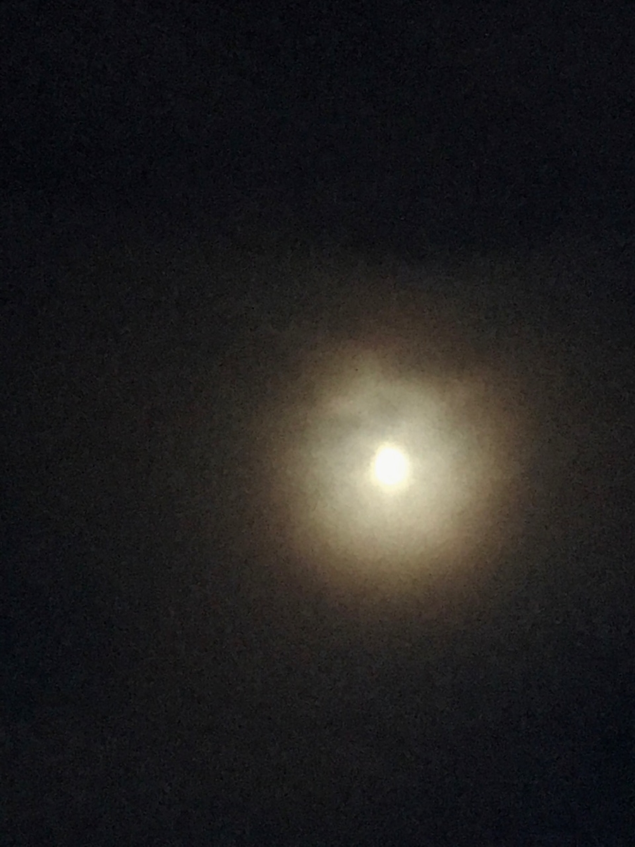 f:id:bochibochidou:20200630193859j:plain