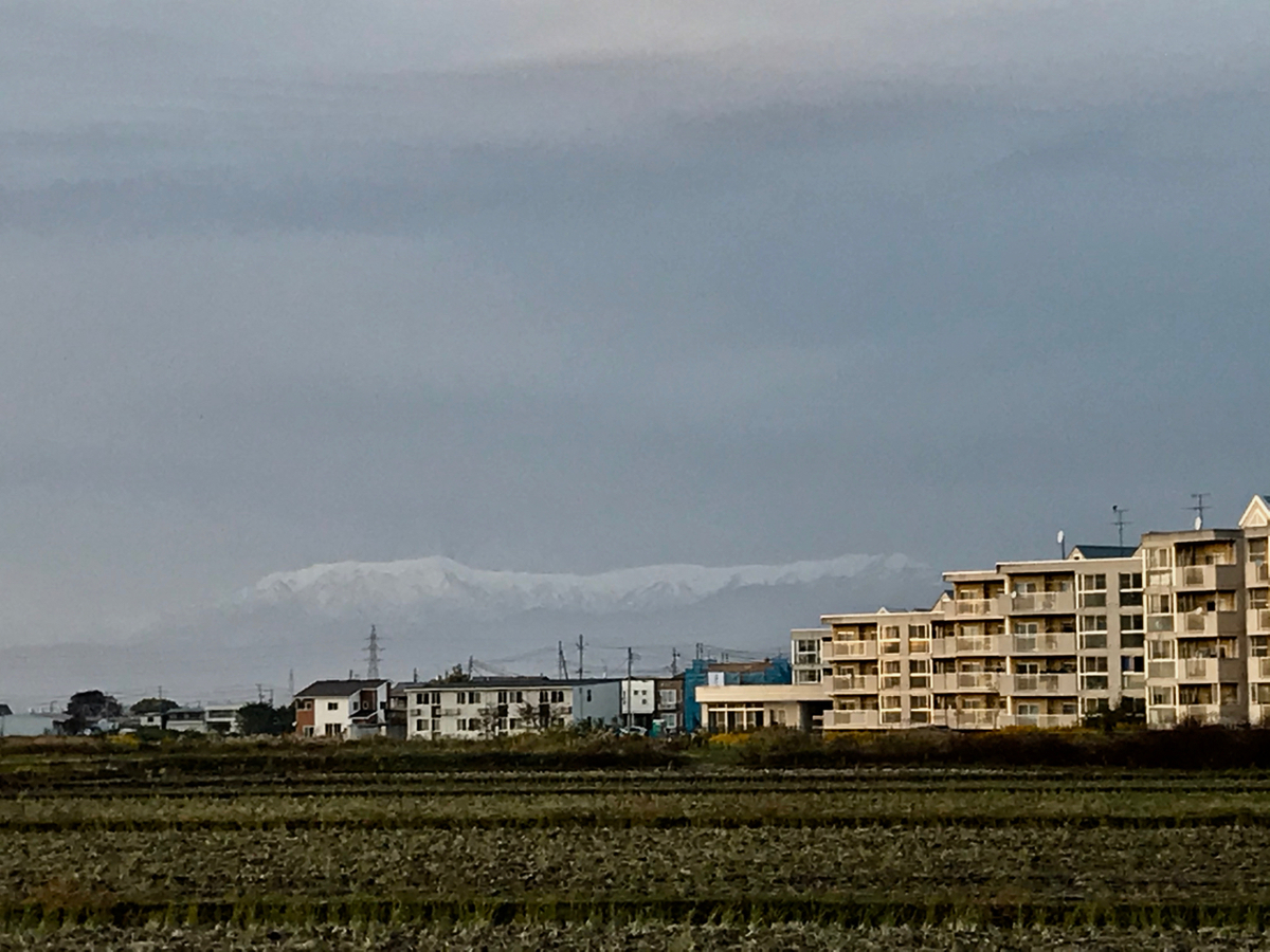f:id:bochibochidou:20201107202103j:plain