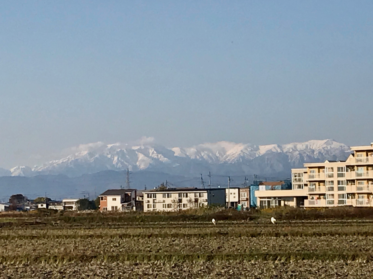 f:id:bochibochidou:20201114200504j:plain f:id:bochibochidou:20201114200504j:plain