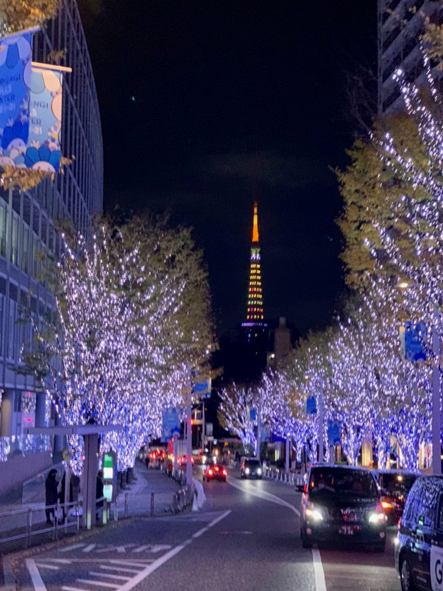 f:id:bochibochidou:20201225201326j:plain