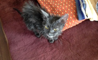 f:id:bochibochidou:20210118202643j:plain