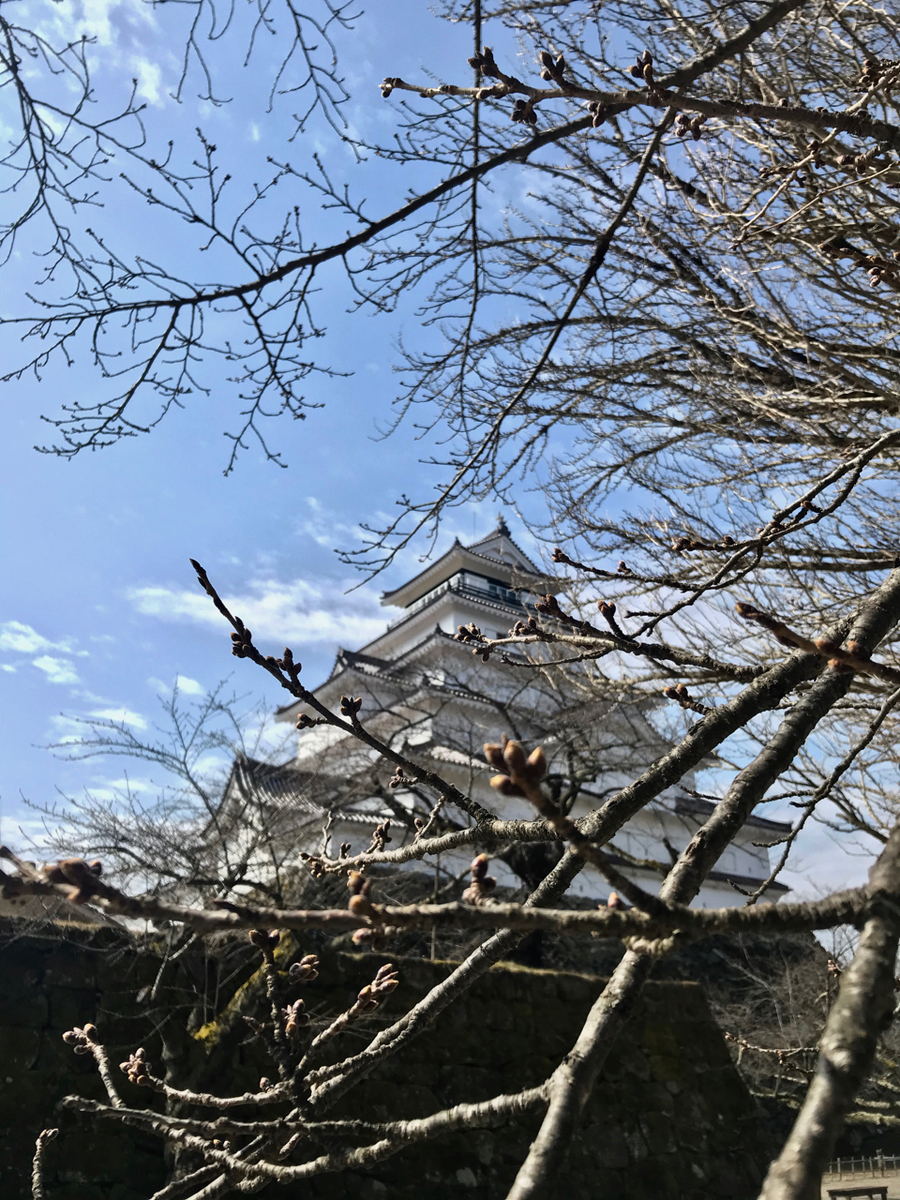 f:id:bochibochidou:20210317202200j:plain