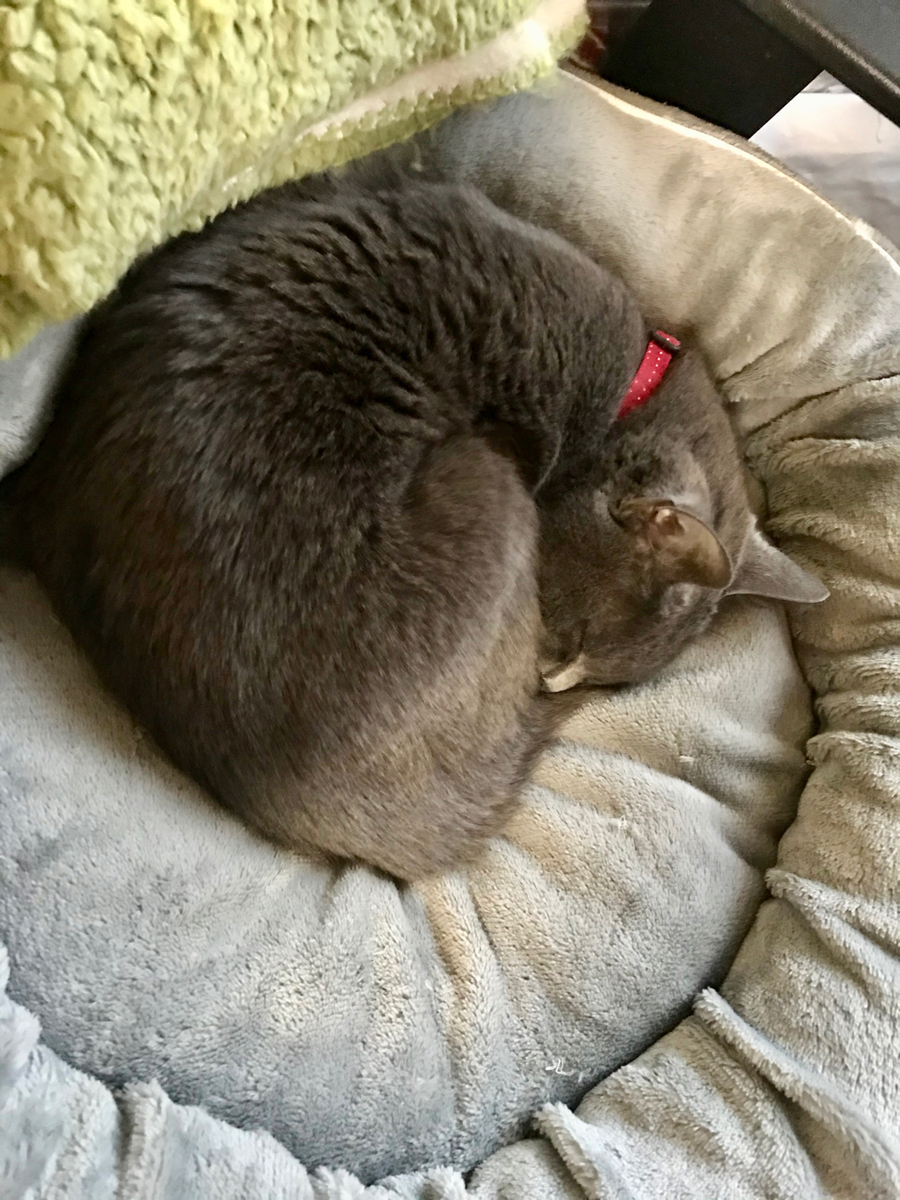 f:id:bochibochidou:20210420194915j:plain