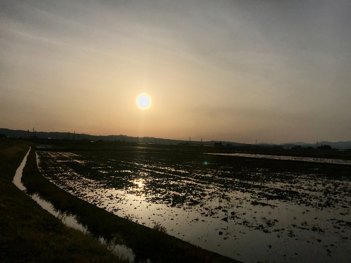 f:id:bochibochidou:20210504200947j:plain