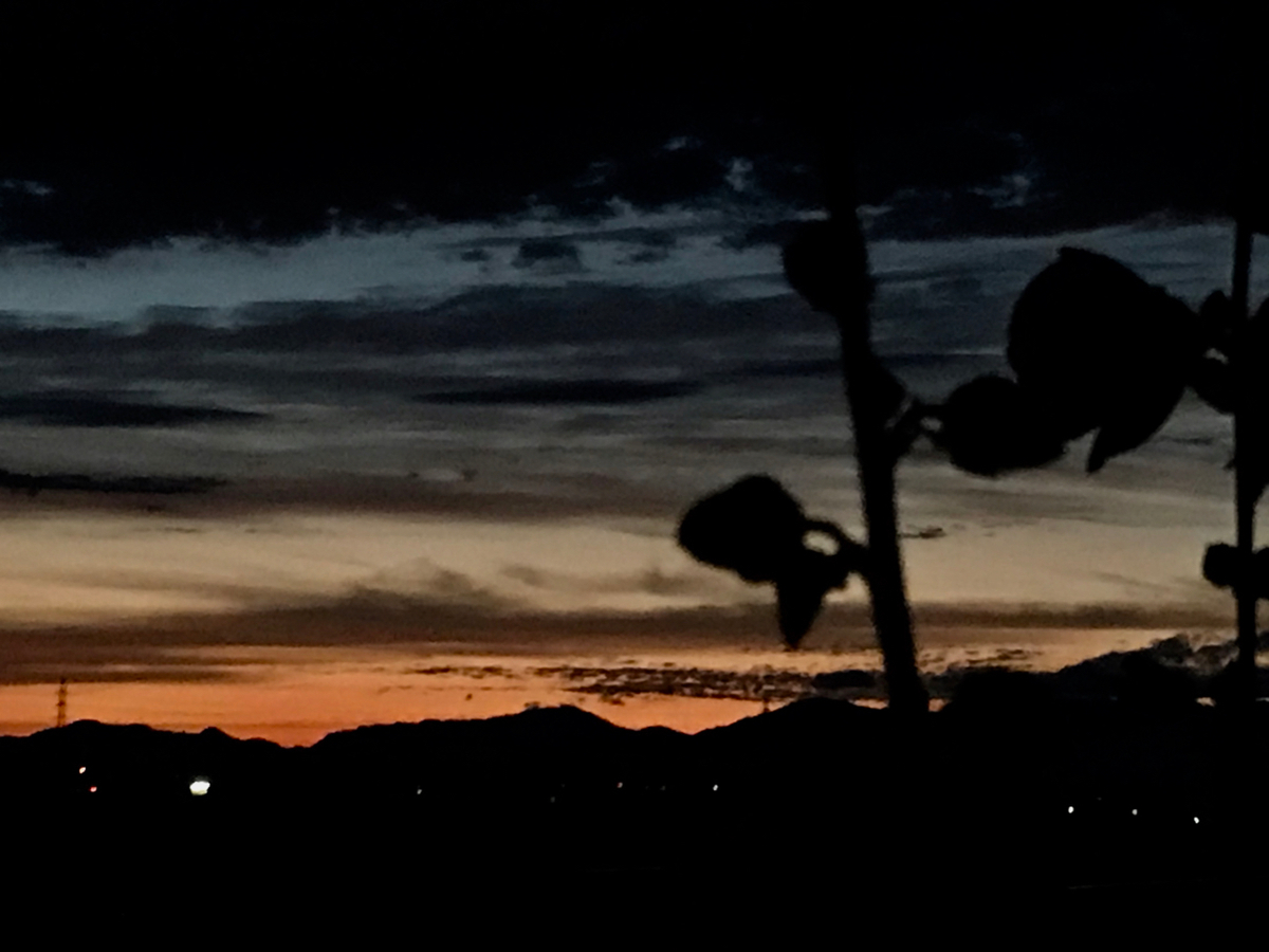 f:id:bochibochidou:20210702201441j:plain