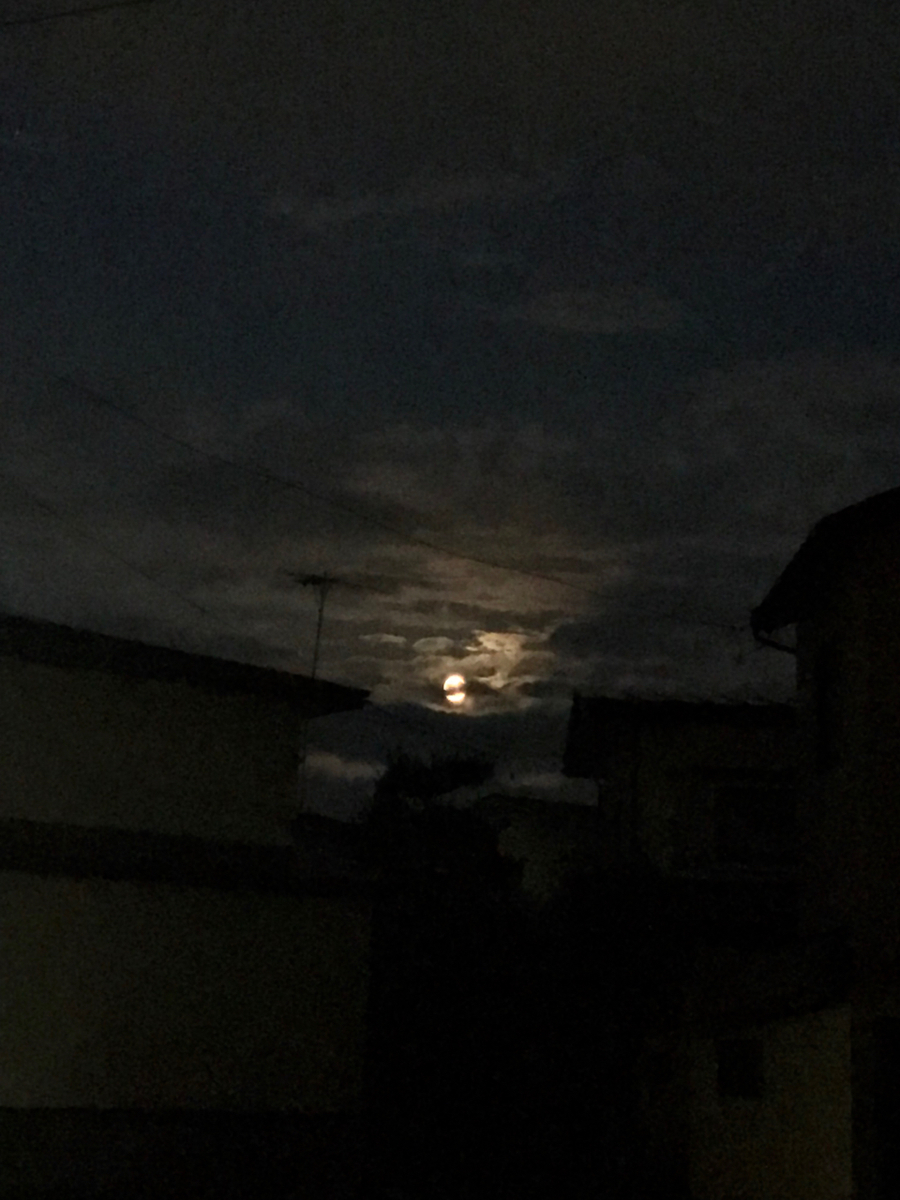 f:id:bochibochidou:20210723204554j:plain