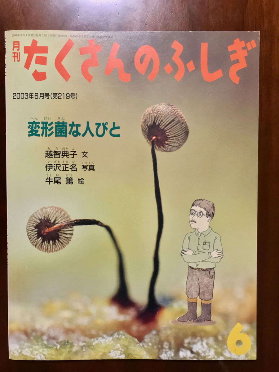 f:id:bochibochidou:20210723205731j:plain