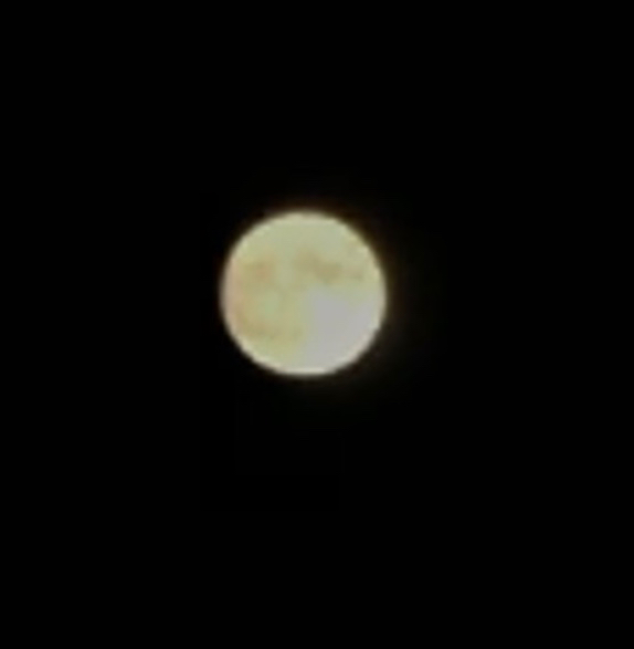 f:id:bochibochidou:20210922200226j:plain